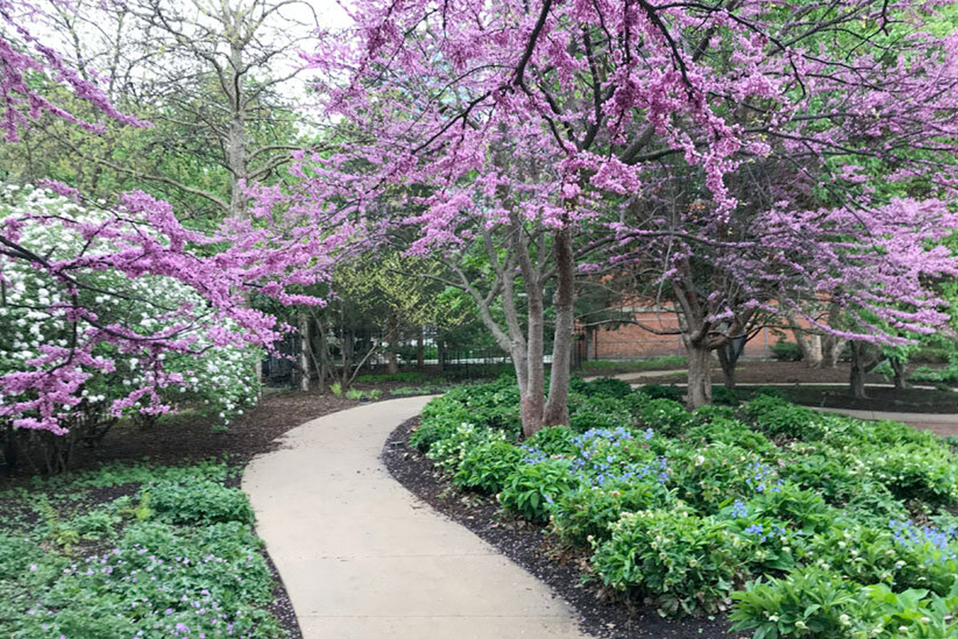 Chicago Women's Park