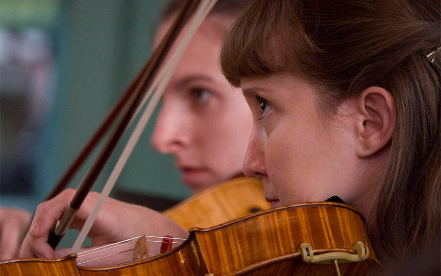 Violins_closeup