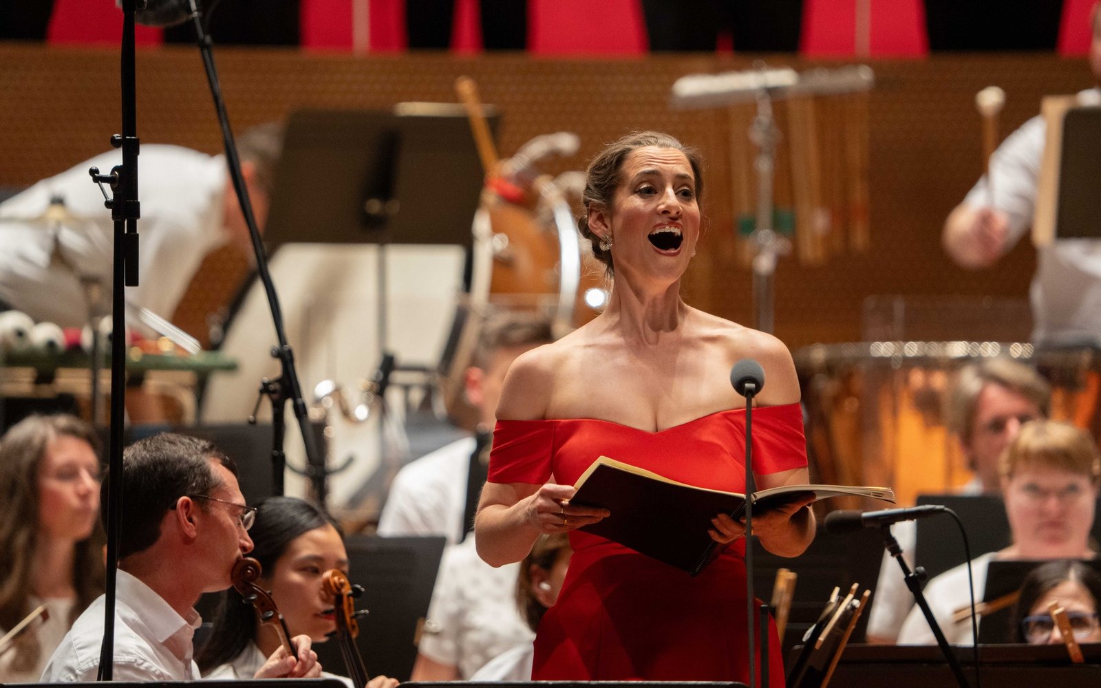 Jana McIntyre, soprano - Credit: Elliot Mandel